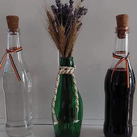 Bubu Petrosani